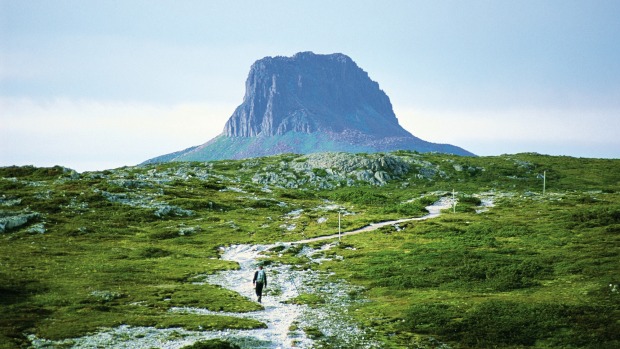 wulinantikala / Cradle Mountain - lutruwita / Tasmania - 4 Days